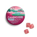 Sour Watermelon Spritz (S) - 20pk 100mg - Camino - Thumbnail 2