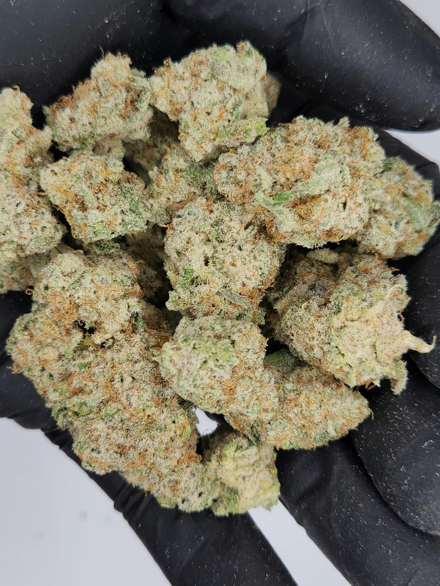 Product: Glo | Bulk Bud - Lemon Cherry Runtz