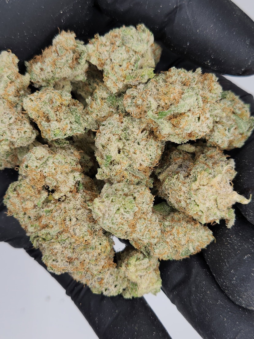Glo | Bulk Bud - Lemon Cherry Runtz