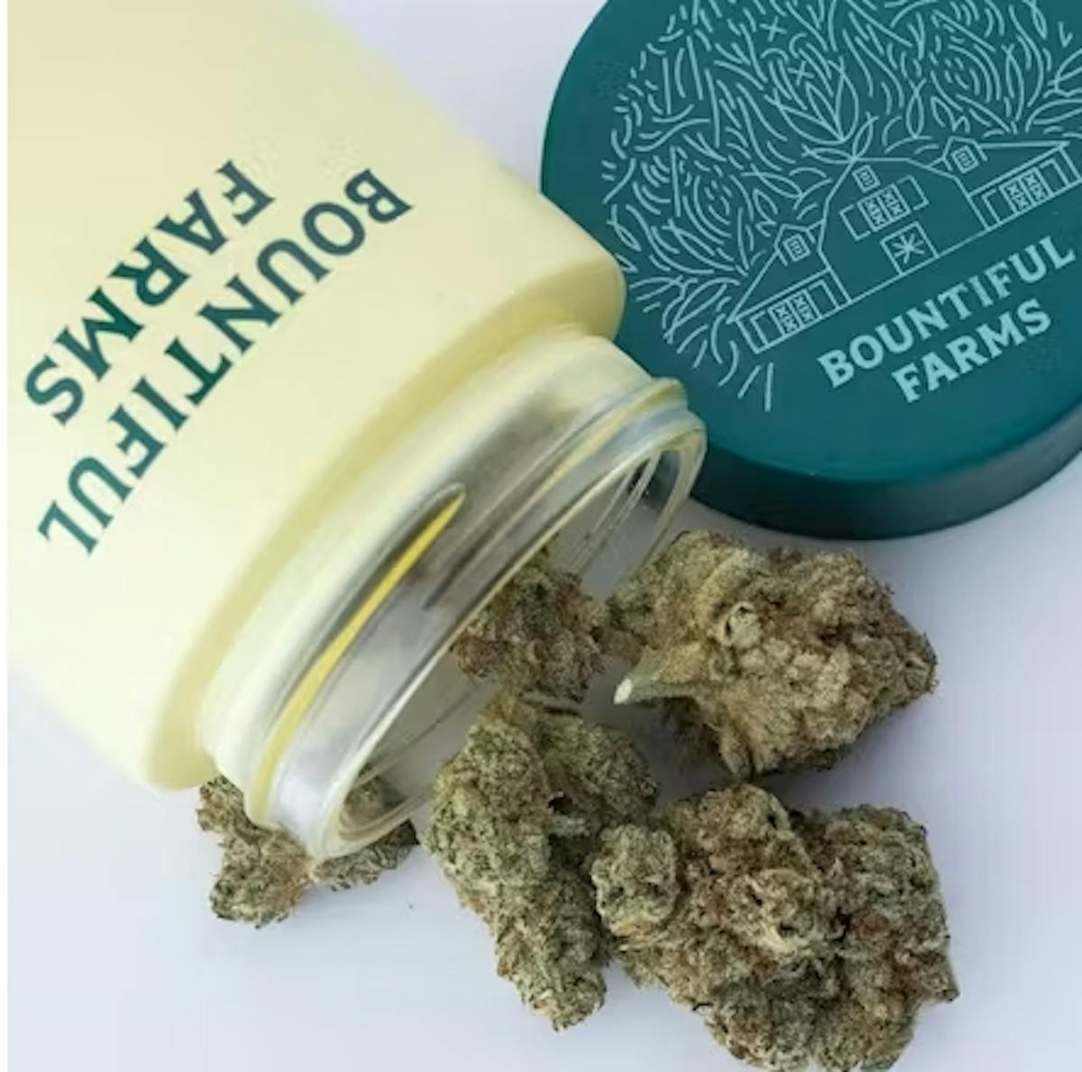 Photo of Guava Now N Later 3.5g Flower Bountiful Farms