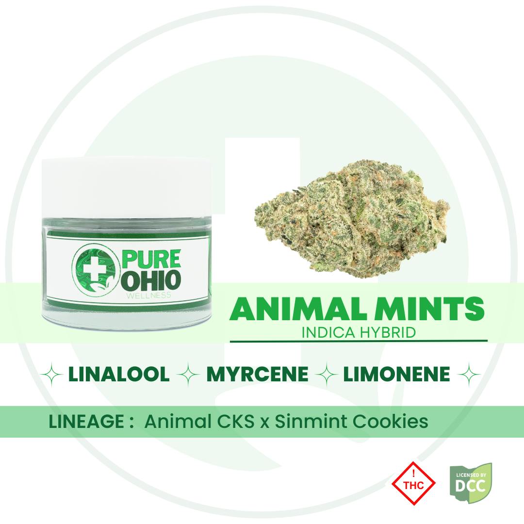 Pure Ohio Wellness Animal Mints