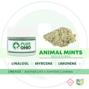 Animal Mints 2.83g Flower | Pure Ohio Wellness |