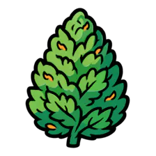 Flower category image