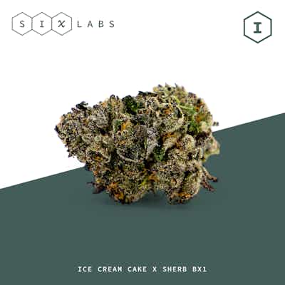 Product: Sherbet Scoop | Six Labs