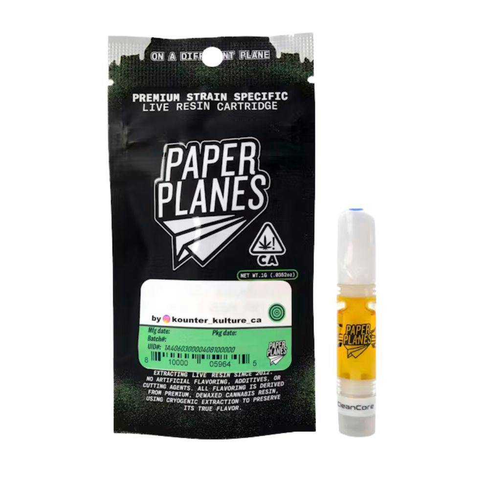 Paper Planes | Harborside (San Francisco)