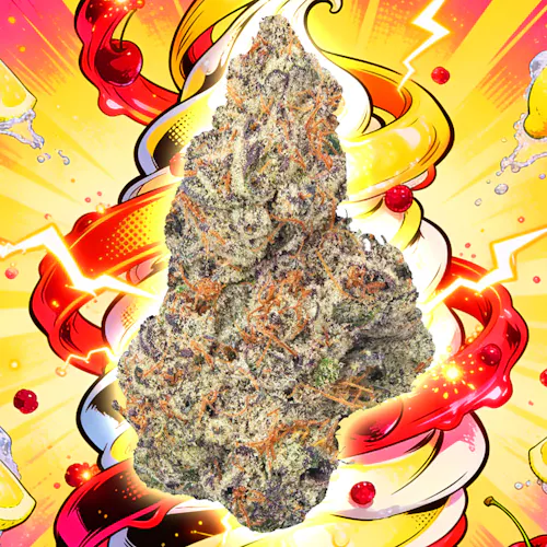 Flora – Lemon Cherry Gelato – 3.5g-active