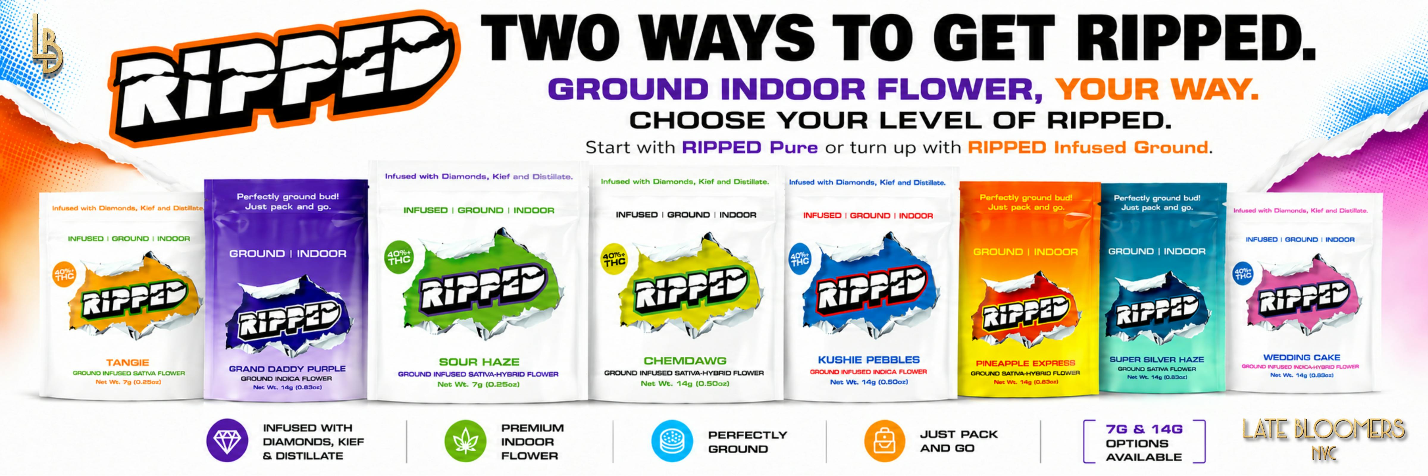 RIPPED TWO WAYS BANNER x LATE BLOOMERS NYC