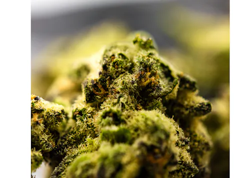 DANK | Oreoz | Sungrown Flower | 3.5g-2