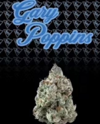 Product Gary Poppins Buds