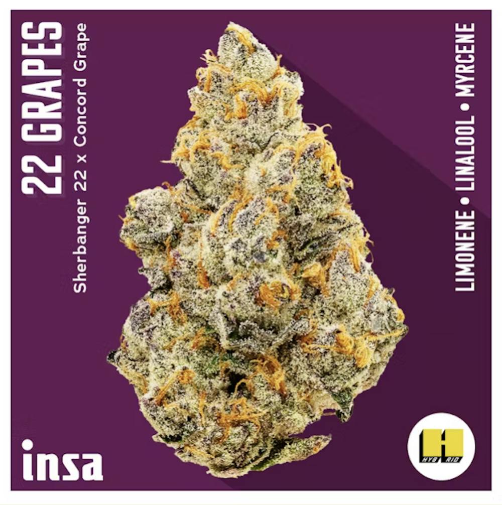 Product 22 Grapes - Flower