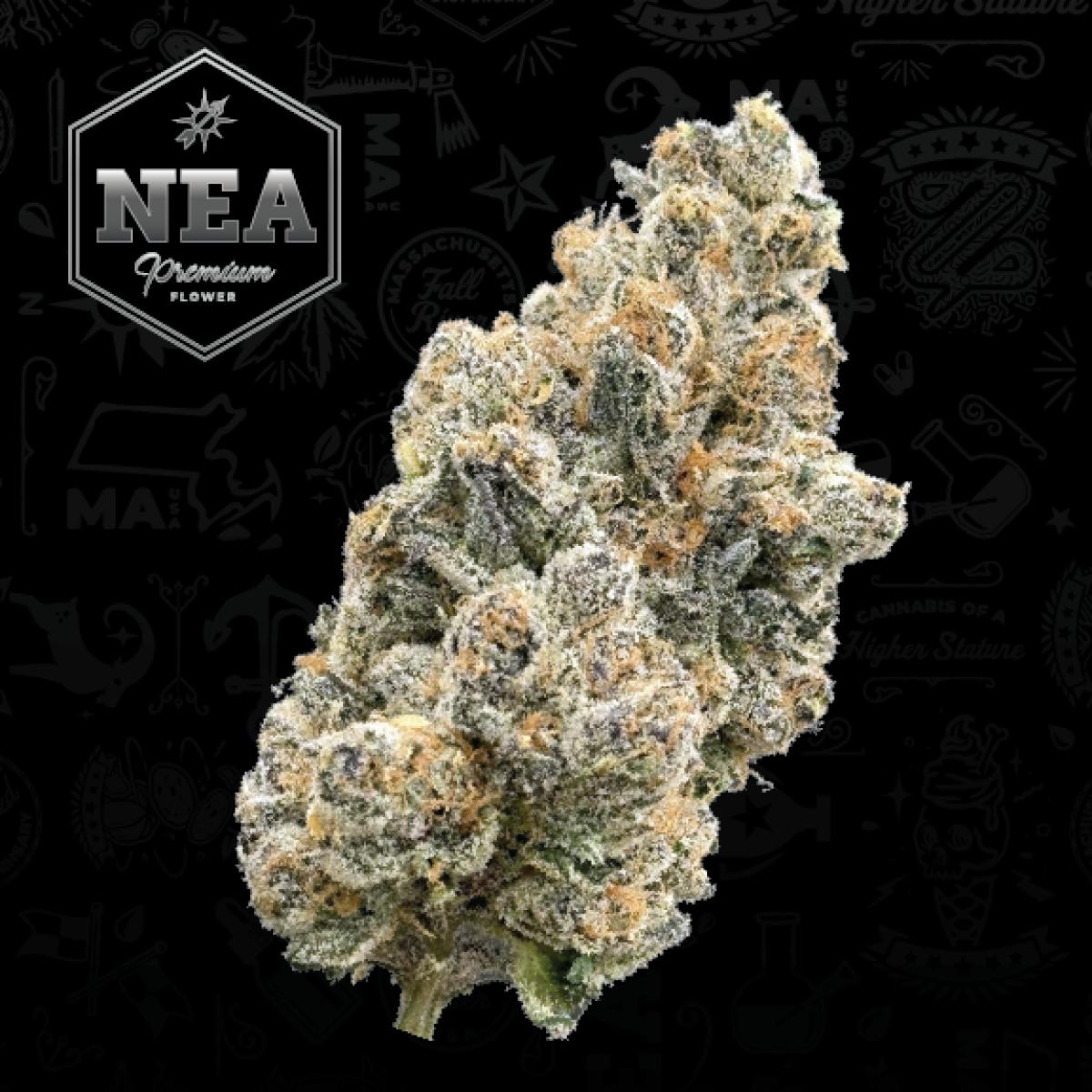 Product Bufo - Flower