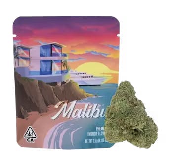 Product: SEED JUNKY | MALIBU | PRE-PACK HYBRID