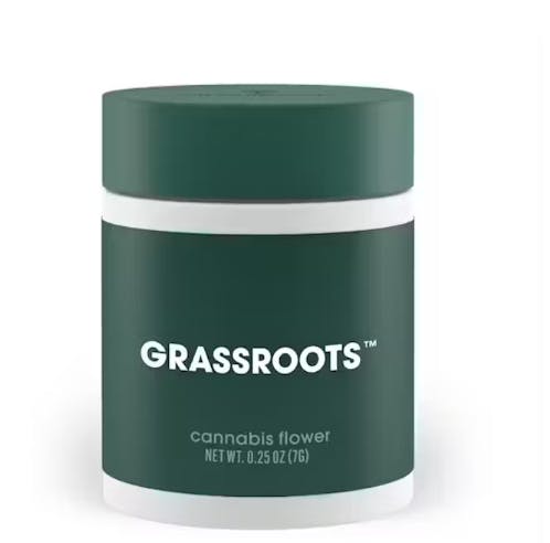 Jayna's Sunshine | Diamond Infused Flower