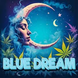 DELI - Blue Dream