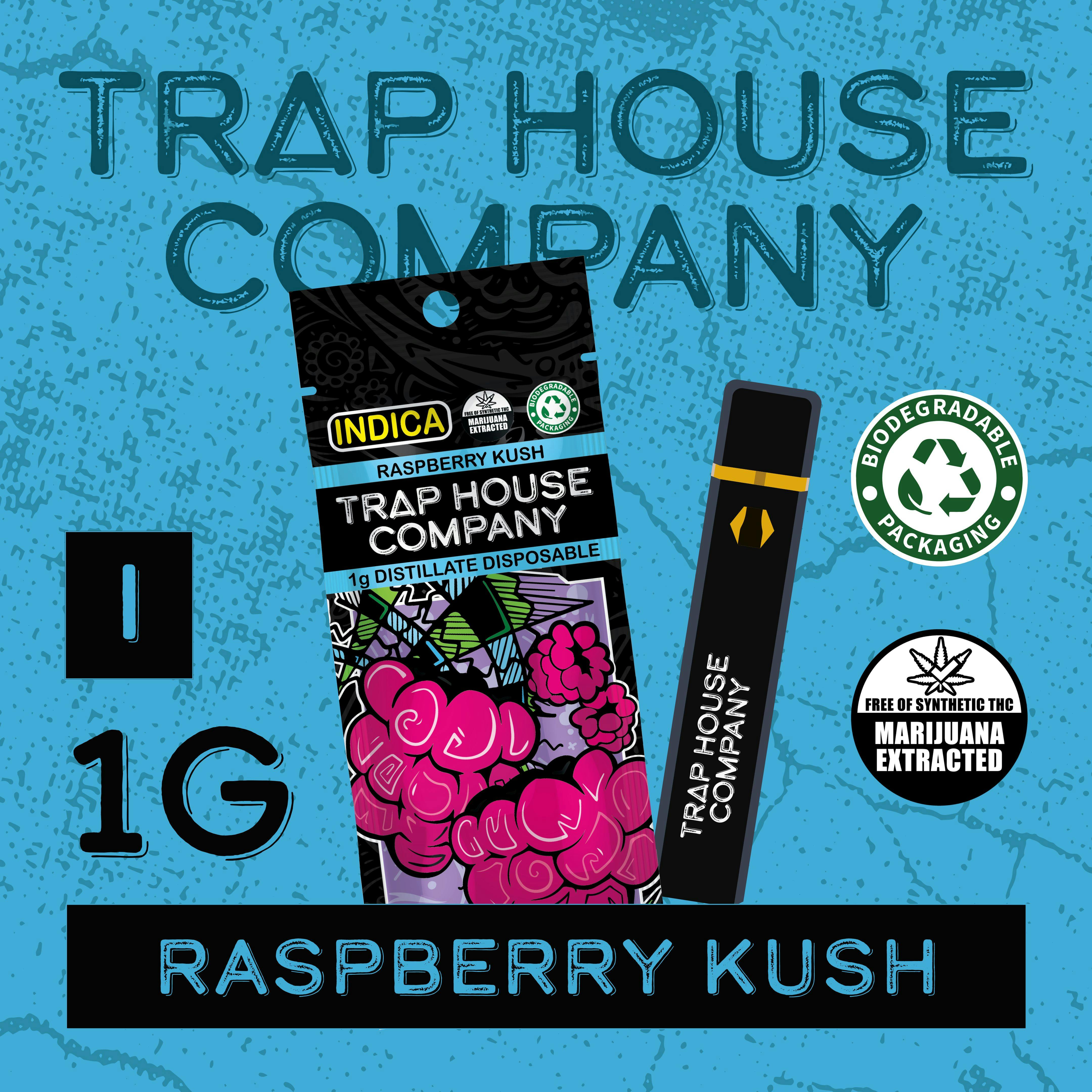 miami mint zero nicotine vape Miami Mint Raz Vape Flavor RAZ TN9000 Zero Disposable Vape 9000 Puffs Non  Nicotine Vapors Pens With Smoke RAZ Miami Mint Flavors | Crisp Refreshment,  Pure Sensation