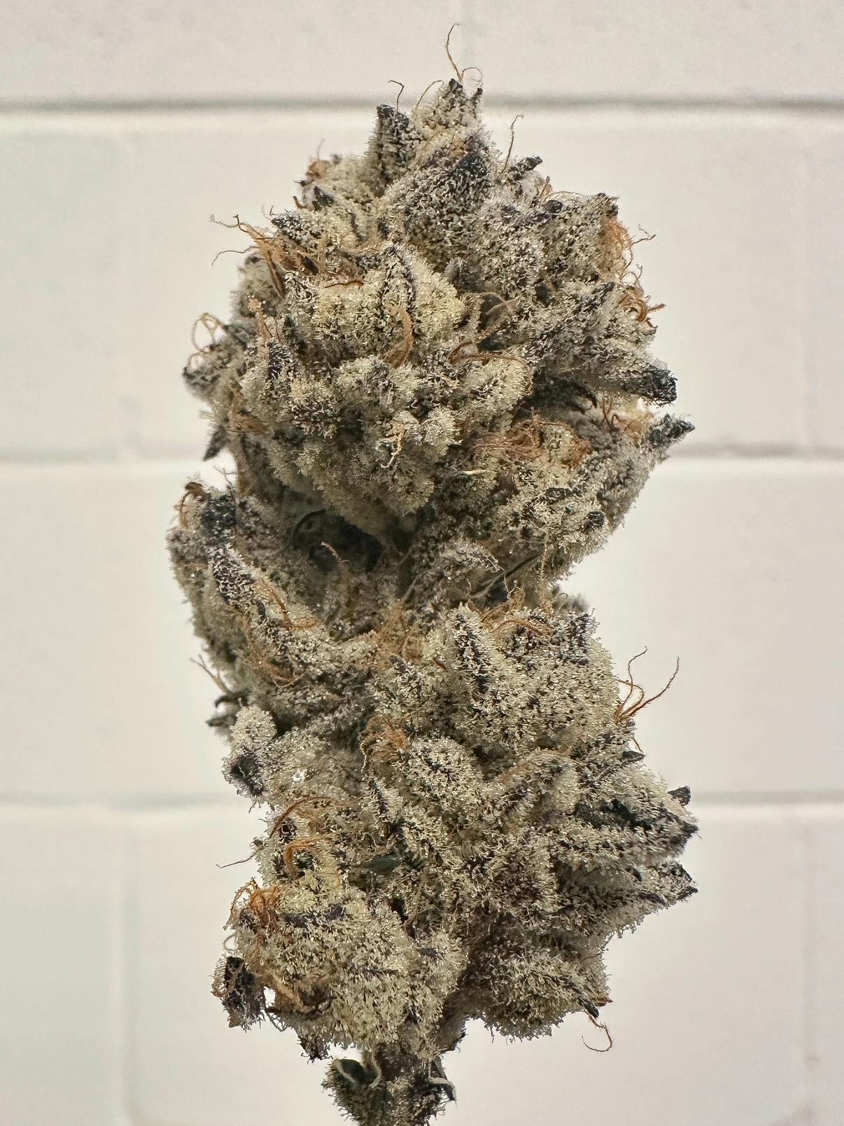 Sticky Fingers