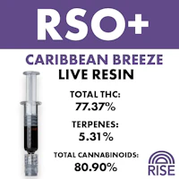 RISE RSO + Caribbean Breeze - 1g - product image at King of Budz
