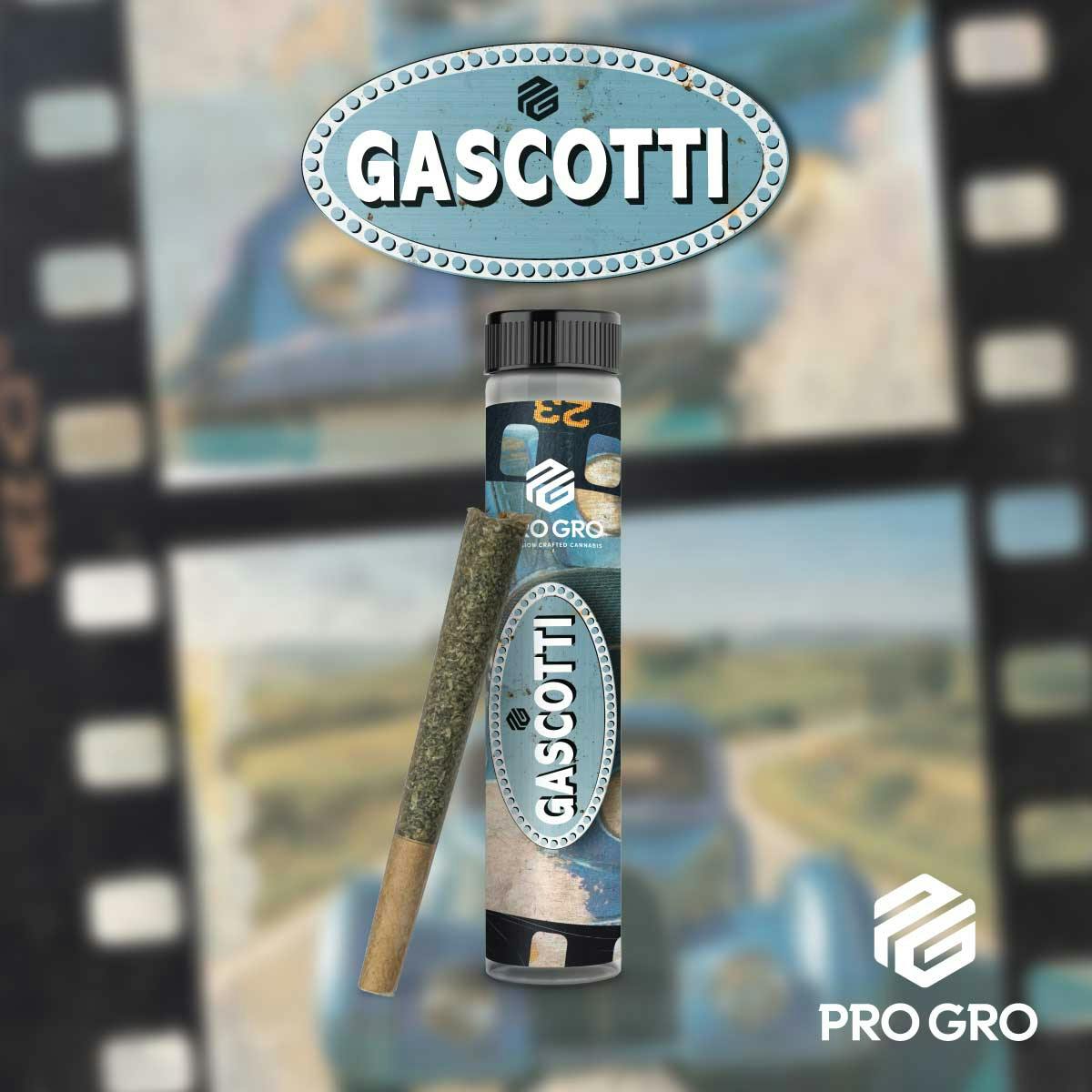 Gascotti 1G Pre-Roll