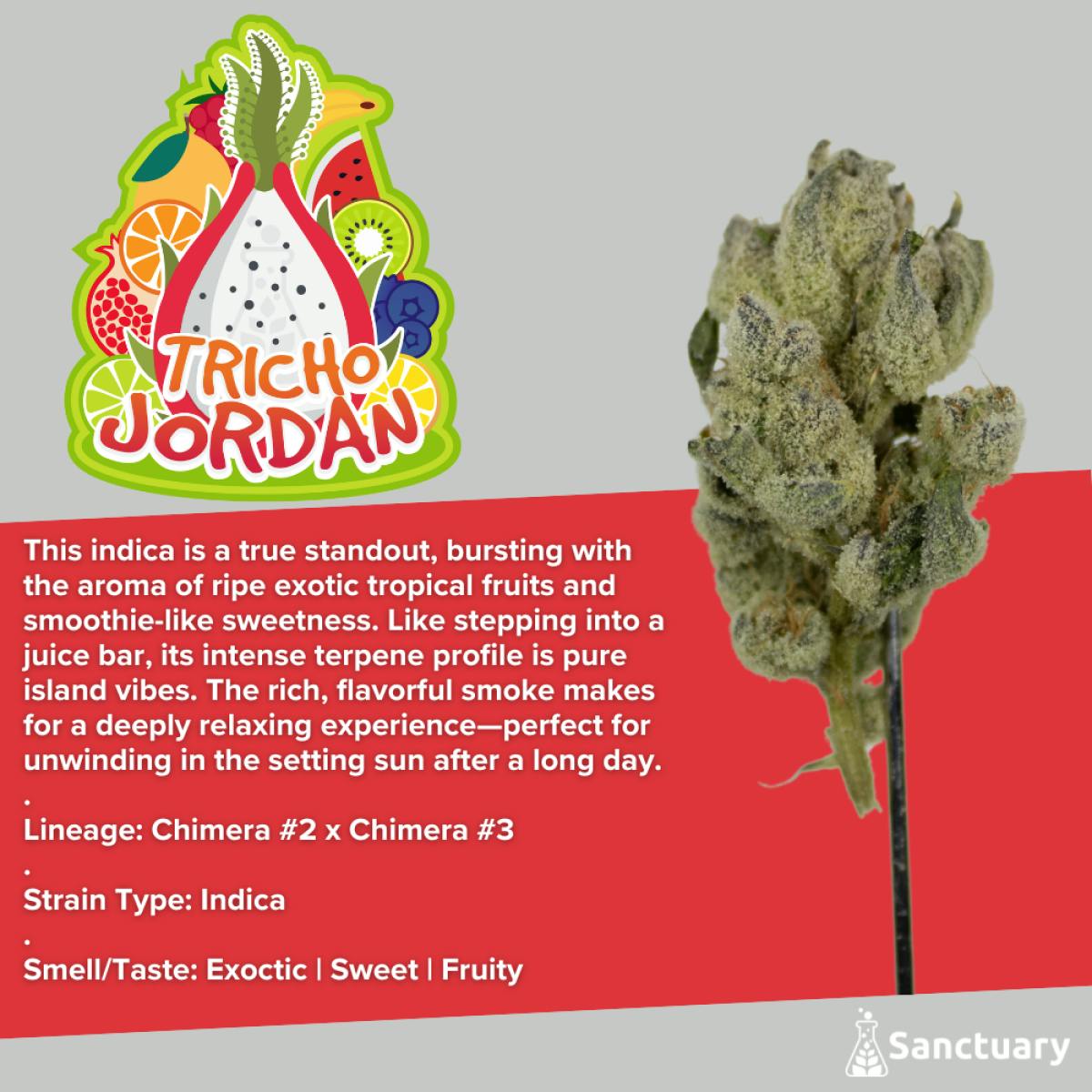 Sanctuary - Pre-Ground 14g - Tricho Jordan