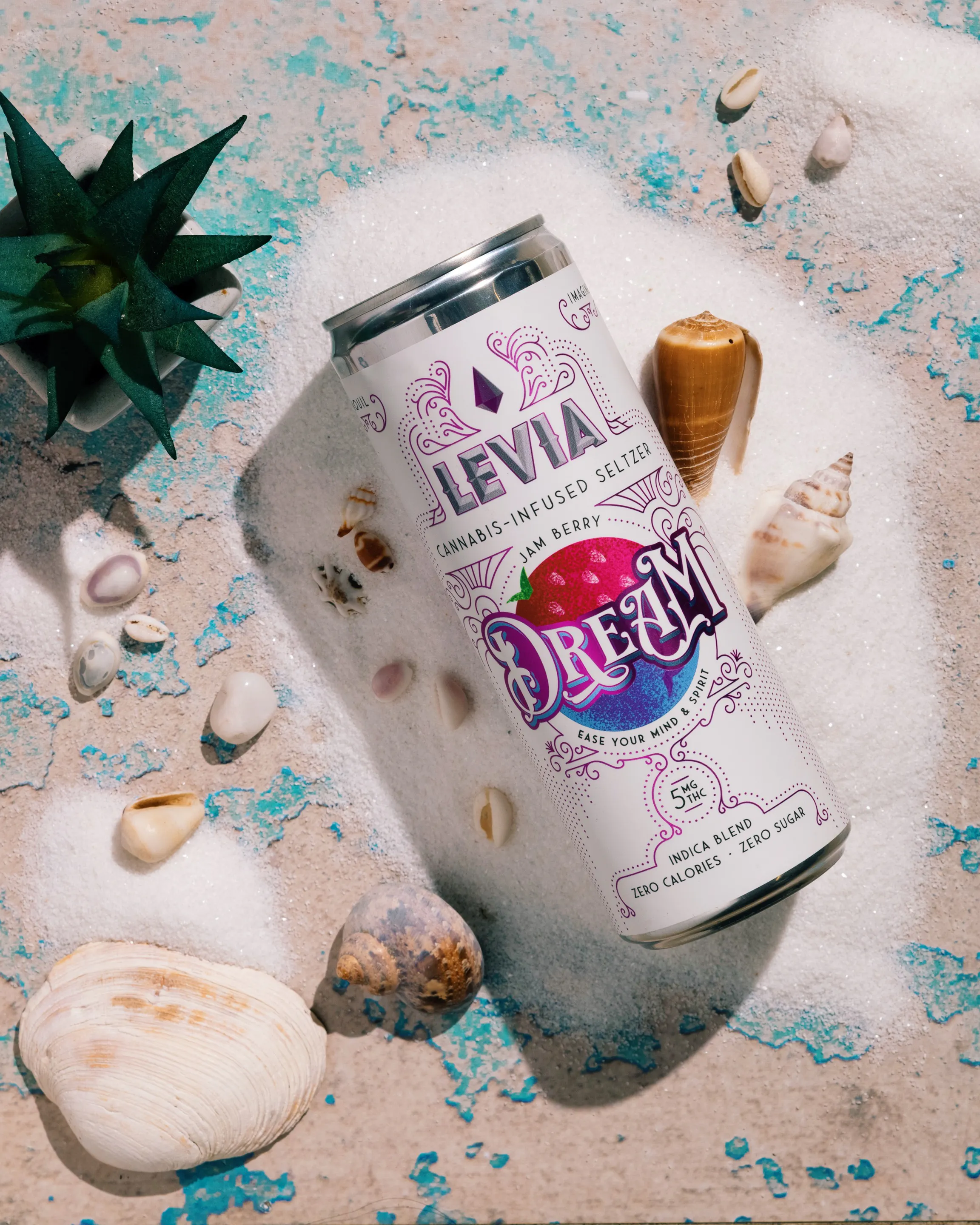 Dream Jam Berry Seltzer | Diem (Worcester)