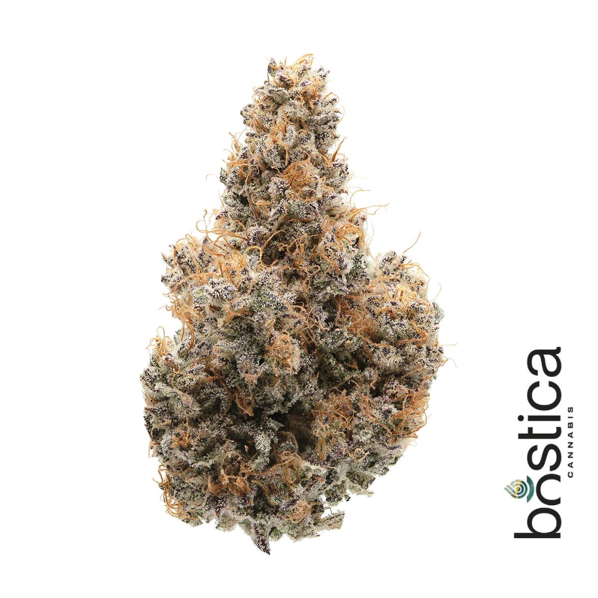 Product Purple Starfruit | Flower | 14g