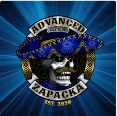 Product Zapacka | Boca Seca | Flower