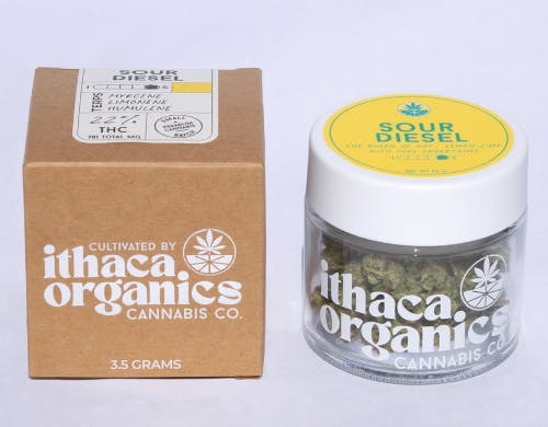 Sour Diesel Sativa | Ithaca Organics