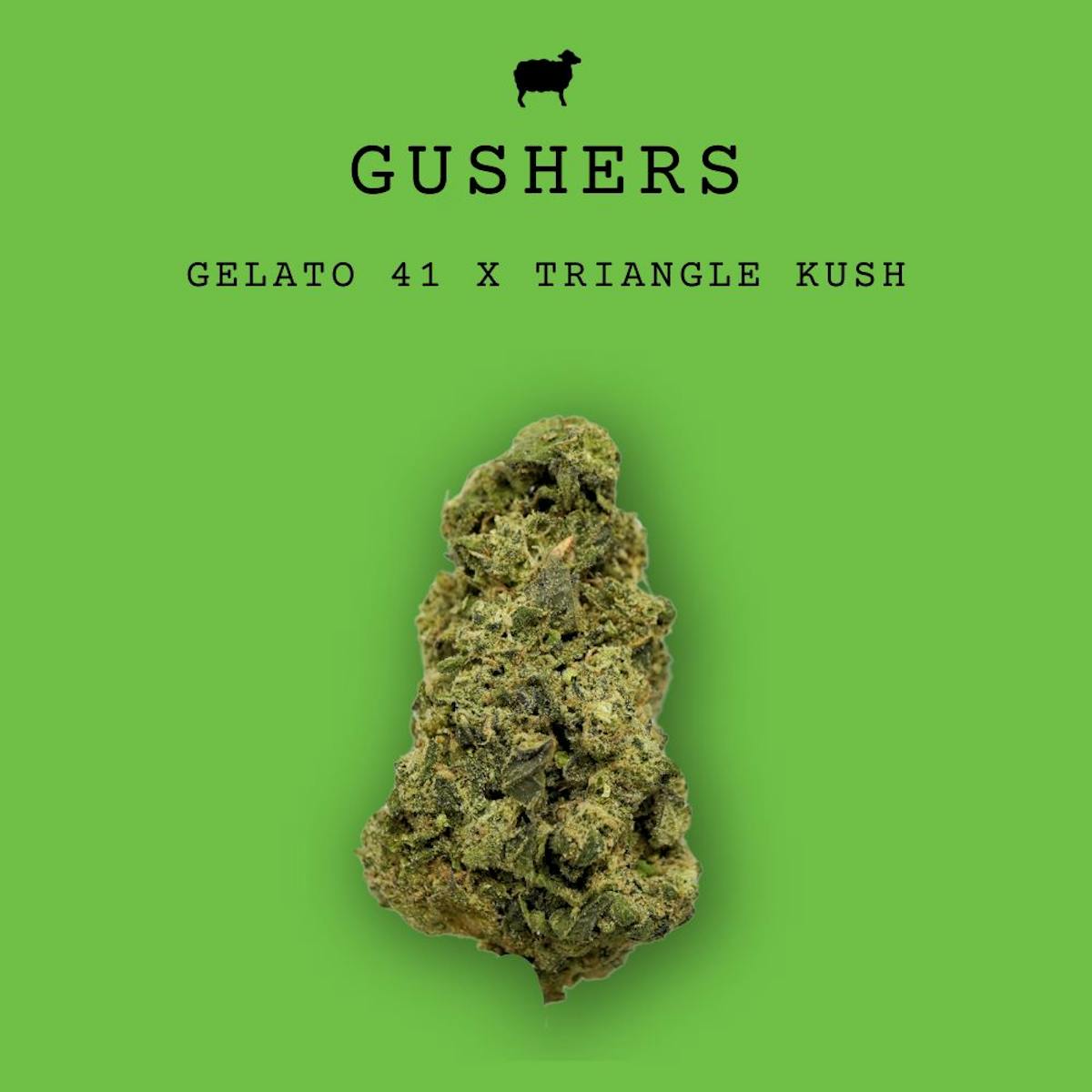 Photo of Gushers Small Buds