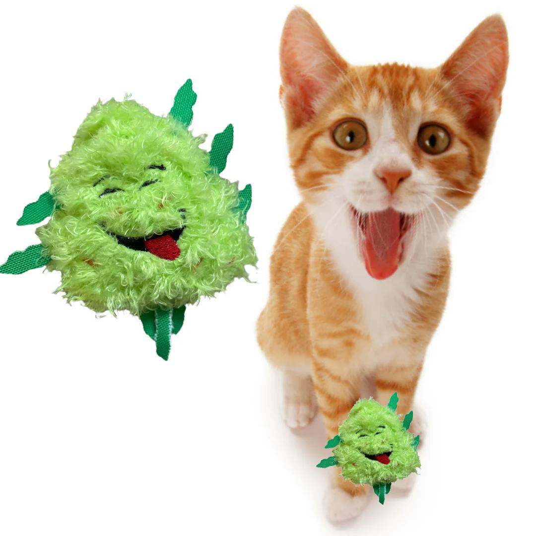 PAW:20 | Cat Toy | Bud Jr. the Weed Nug
