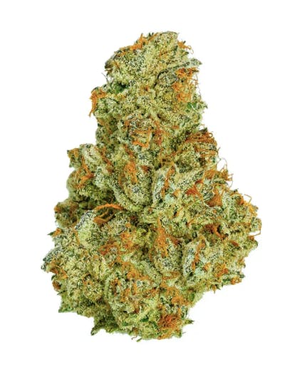 Product: Fresh Canna | Pre-Pack - 3.5g - Durban Poison
