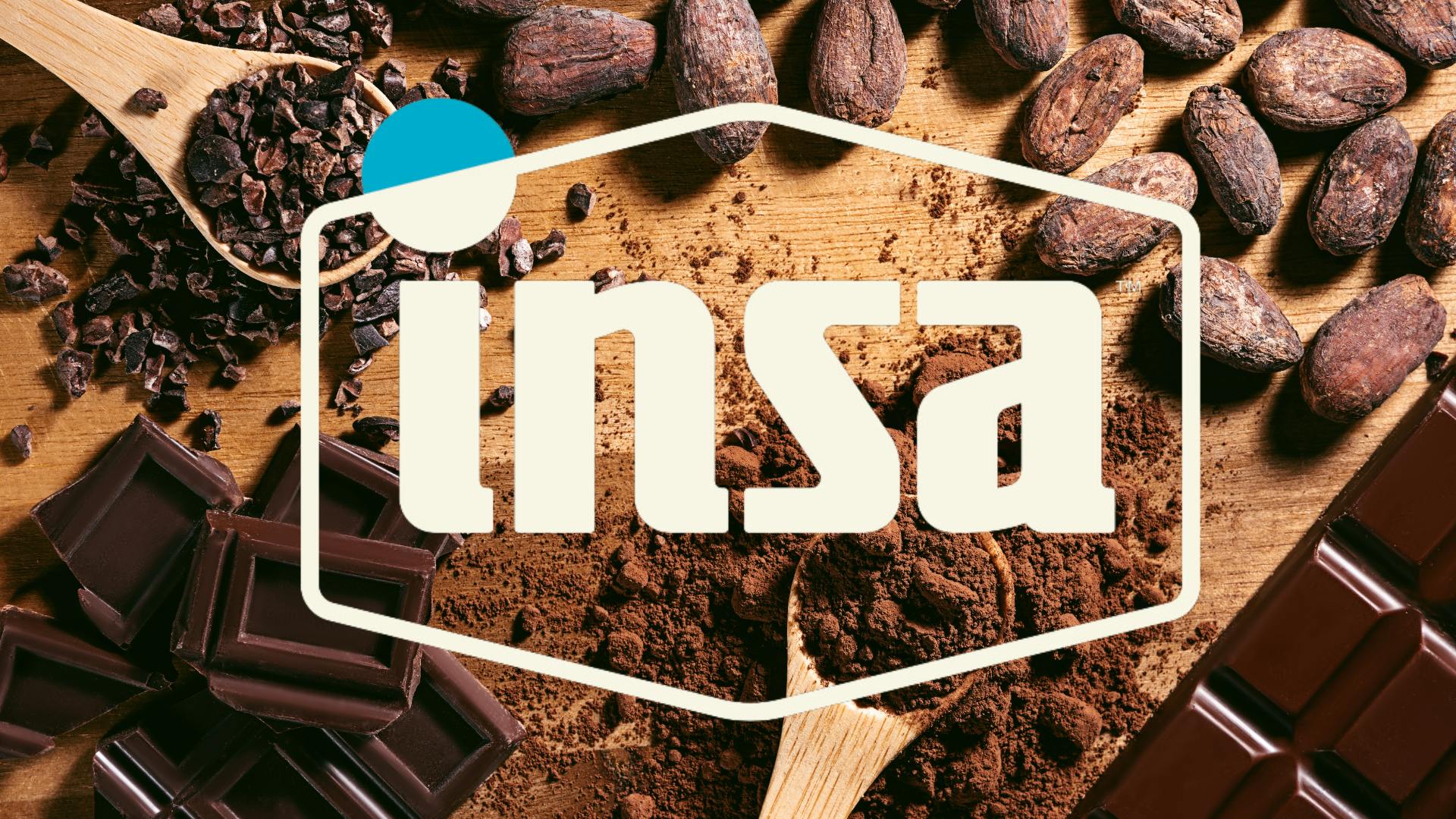 INSA Chocolate-2 for $25!