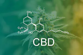 CBD category image