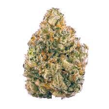 Product Jungle Breath Buds