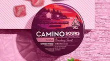 Camino - 200mg Gummies - Sour Strawberry Sunset