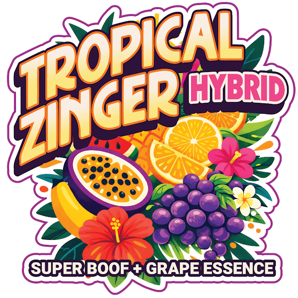 elf bar vape uk Lychee Luau by Tropic King 100ml