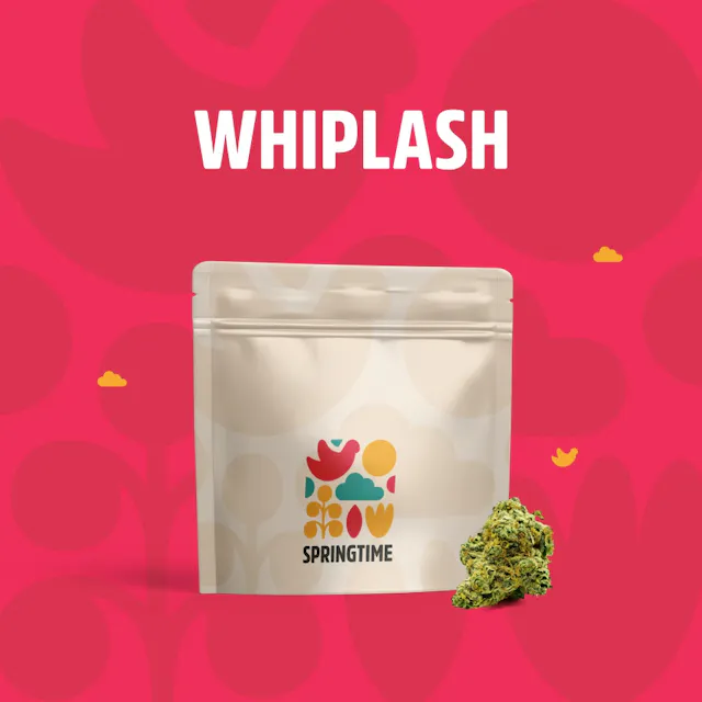 Springtime Flower Whiplash 3.5g (hybrid, whole flower)