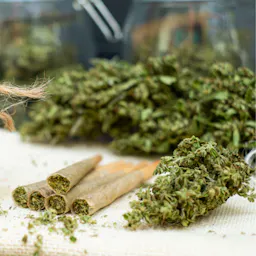 Pre-Rolls category image