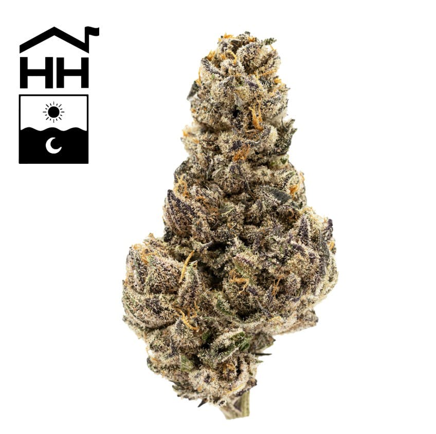 Product: Harbor House | Jack's Dream | Flower