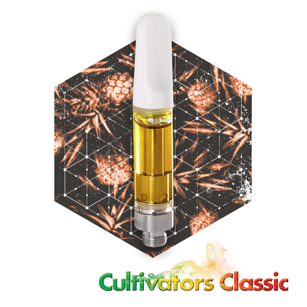 Shop top cannabis brands in Boston - High Profile - Dorchester
