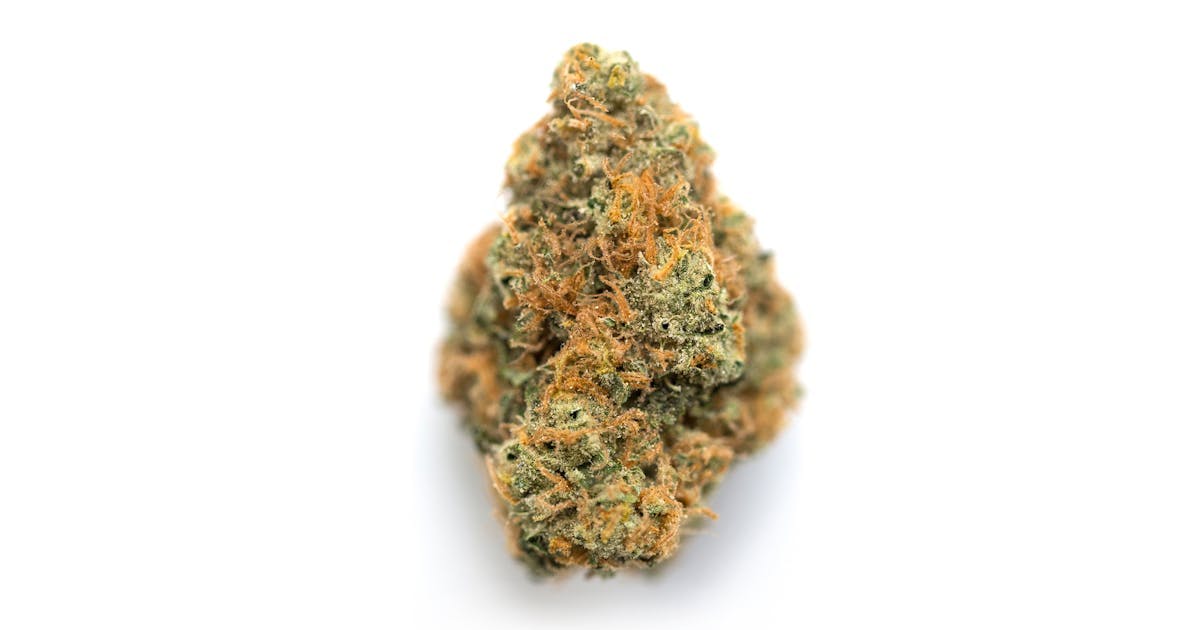 Image of Glazed Apricot Gelato | 28g House “Small Bud” Flower