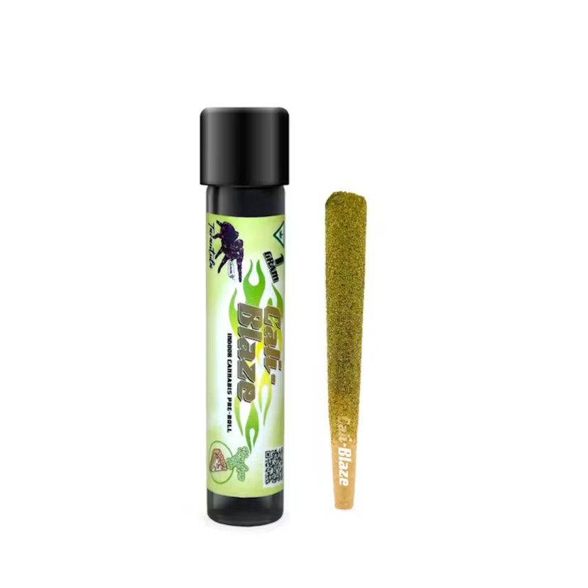 Cali Blaze - Key Lime Pie Tarantula