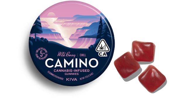 Wild Berry (I) - 100mg 20pk (Chill) Gummies - Camino - Image 2