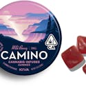 Wild Berry (I) - 100mg 20pk (Chill) Gummies - Camino - Thumbnail 2