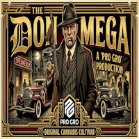 DELI - Pro Gro - Don Mega - product image at King of Budz