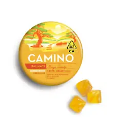Kiva Camino Gummies - Freshly Squeezed CBG 1:2 100mg at Harborside
