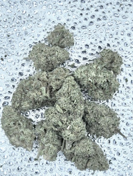 Face Plant OG | Dragonfly