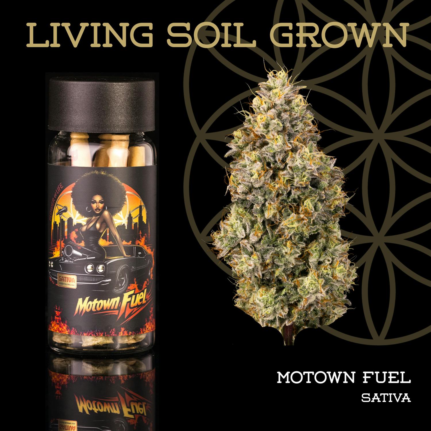 Product: Flower of Life | Pre-Roll 5-Pack - 2.5g - Motown Fuel
