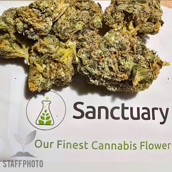 Killer Bees (SH) - 3.5g - Sanctuary Medicinals