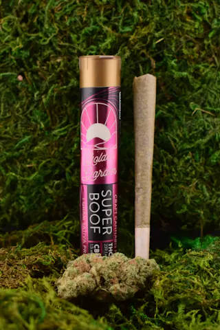GOLDEN GARDEN | SUPERBOOF | 1 GRAM PRE-ROLL
