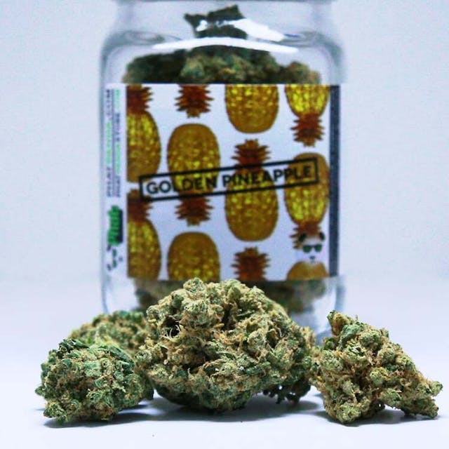 Golden Pineapple is a potent sativa-dominant hybrid that will leave its user feeling euphoric and highly productive. Its aroma is described as fruity and light, boasting an enjoyable tropical citrus flavor. Golden Pineapple delivers effective relief for symptoms associated with anxiety and stress while still maintaining a physically energizing and mentally tranquil experience. This mood-elevating blend of Golden Goat and Pineapple Kush pairs well with game nights with good company.